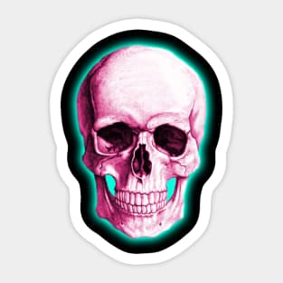 Fluorescent Skull Sticker